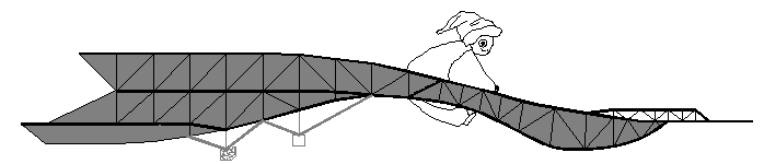 Fig.11 A big goose for children